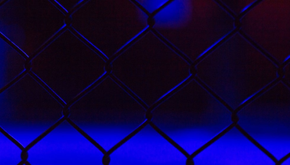 Event and Fighters Overview